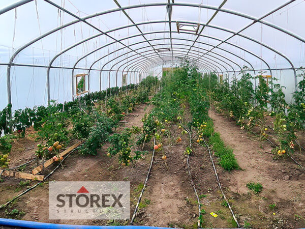 STOREX Astra tööstuslikud kasvuhooned